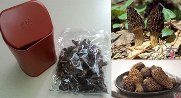 cross-Int-morel-mushroom.jpg