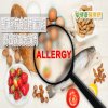 孩子對食物過敏　我該怎麼辦？