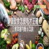 健康飲食怎麼吃才正確？　三餐掌握均衡６口訣就可以辦到
