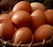 eggs