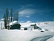 winter.jpg
