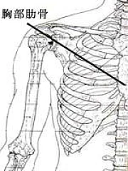 fe-misc-20000130a[1].jpg