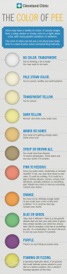 b2ap3_thumbnail_Infographic_20140224-092133_1.png
