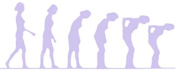 old-bodyshape.png