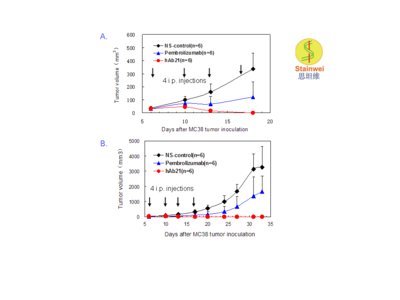 抗PD-1 單抗hAb21在PD-1人源化小鼠移植腫瘤模型中測試結果 PD-1基因人源化純合子小鼠(基因背景為C57BL/6) 背部皮下接種數量約為1 x106的同源的小鼠結腸癌細胞MC38，待接種的腫瘤體積長至米粒大小時（約50mm3，接種後第6天），將動物隨機分為3組（每組6只），分別在接種後第6, 10, 13及 17 天腹腔注射200 ug抗PD-1單抗pembrolizumab, hAb21 單抗或生理鹽水。其中圖A為接種腫瘤的生長早期曲線; 圖B為接種腫瘤的生長全程曲線。