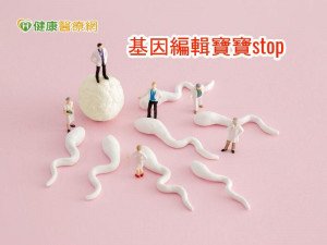 基因編輯寶寶引焦慮　科學家提全球暫緩